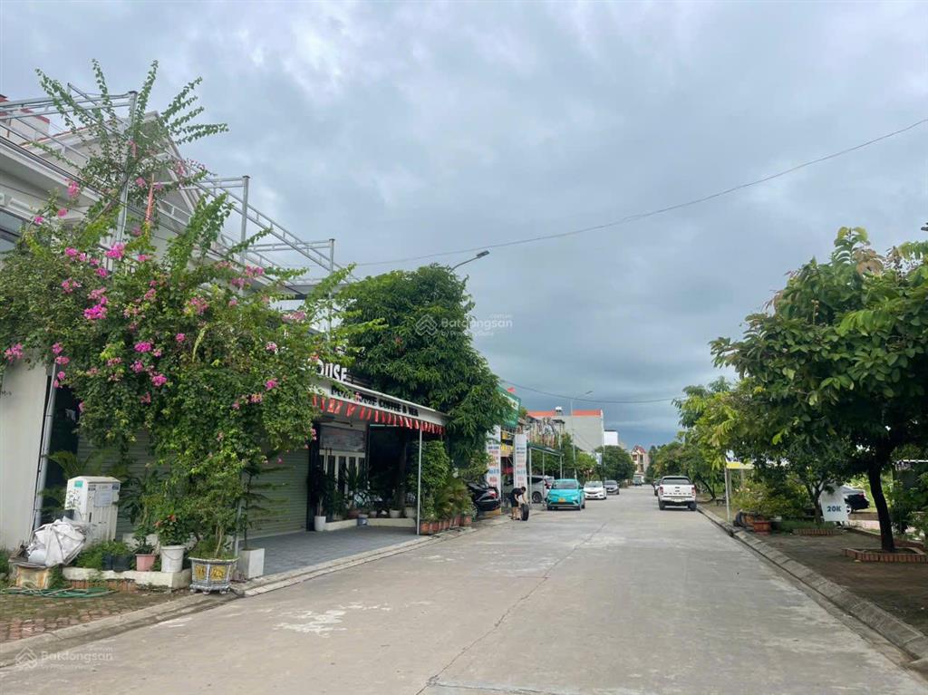 Quỹ đất biệt thự hiếm có 243m² ngay trung tâm lương tài