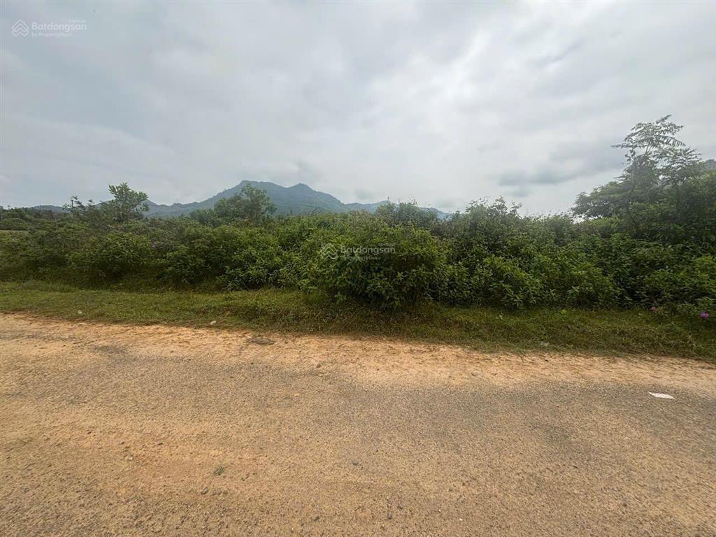Bán đất nhà vườn hòa ninh, hòa vang, đà nẵng 2.250m², mặt tiền 39,9m, sổ lâu dài
