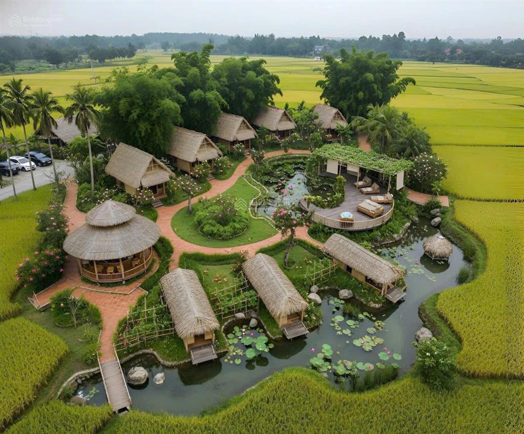 Land for sale, 198 m², Ngũ Hành Sơn