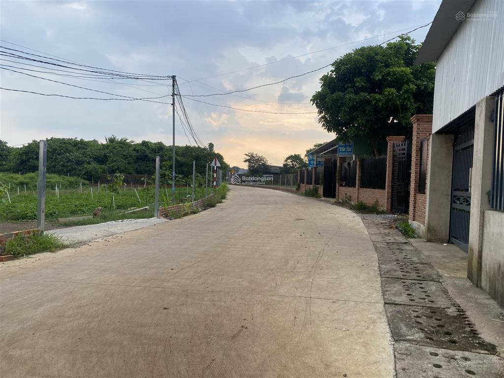 Chính chủ bán 9300m2 đất sẵn sổ mặt tiền, xã lộ 25 thống nhất