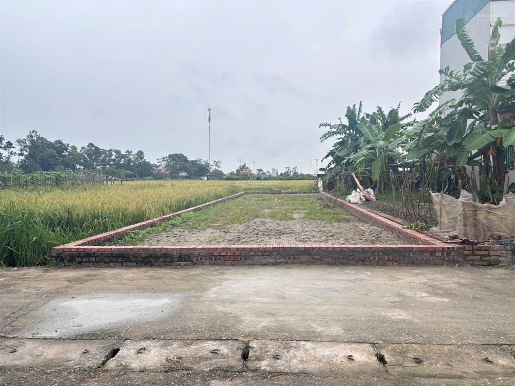 Đất giãn dân thụy lâm, 150m2, mt6.5m, 8.99 tỷ, 2 ô tô tránh, hai mặt ngõ, đông anh,