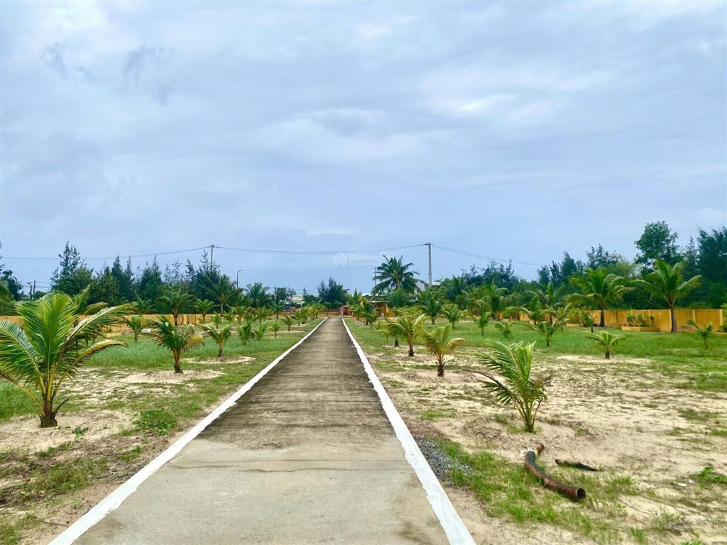 Bán 5000m2 đất view biển tam thanh mặt trước là đường thanh niên 1 vị trí đắt địa