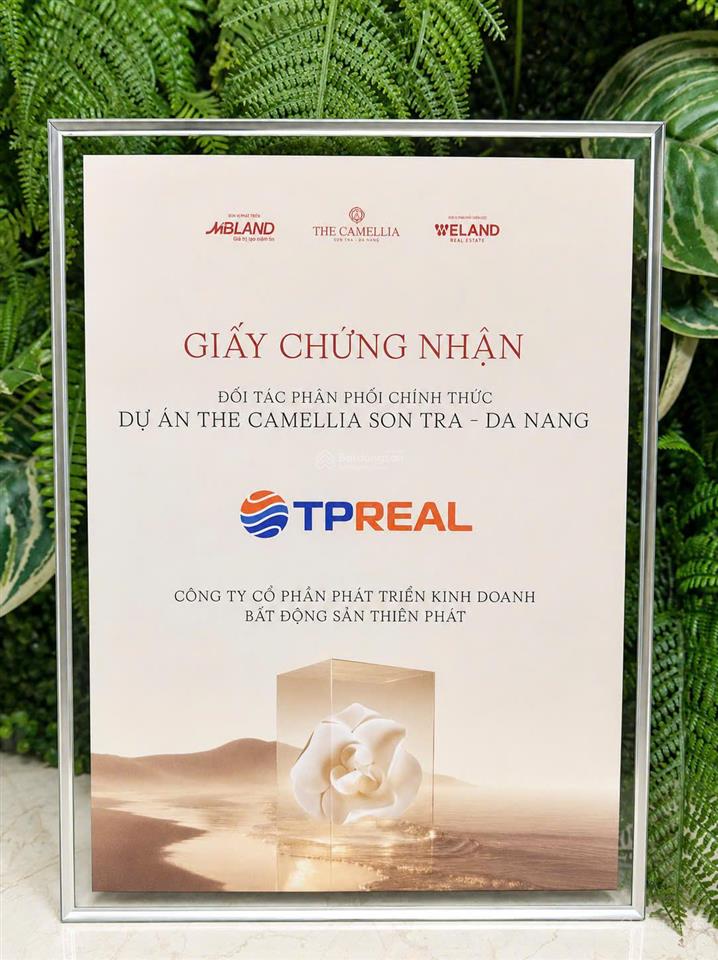 Chỉ từ 1,98 tỷ sở hữu ngay căn hộ ven biển đà nẵng the camellia sơn trà