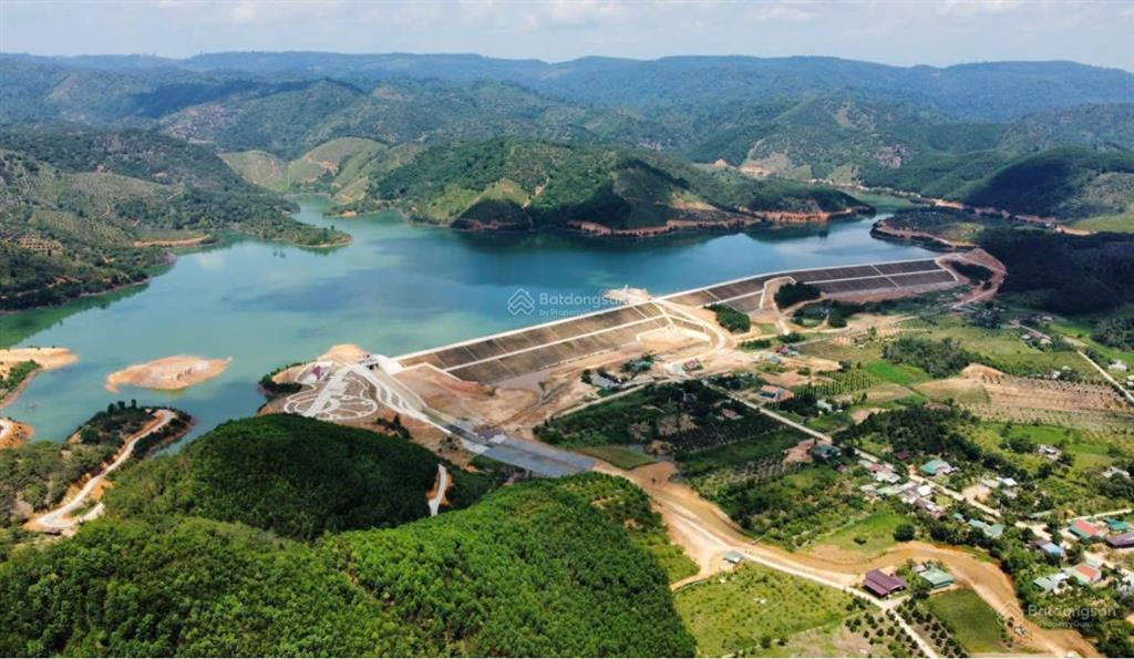 Đất vườn đồi đất rẫy nông nghiệp cây lâu năm