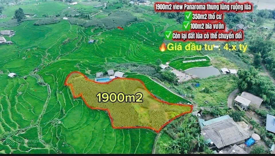 Bán đất đẹp hòa sử pán, tả van, sa pa gần 2000m2 chỉ hơn 4 tỷ
