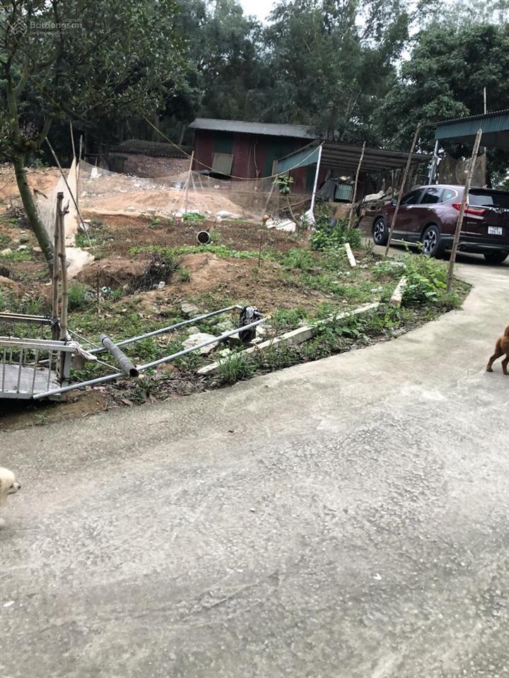 195m2 có 120m2 thổ cư tuần châu, lô góc. hai mảnh liền nhau, tổng s 390m2. phù hợp làm nhà vườn