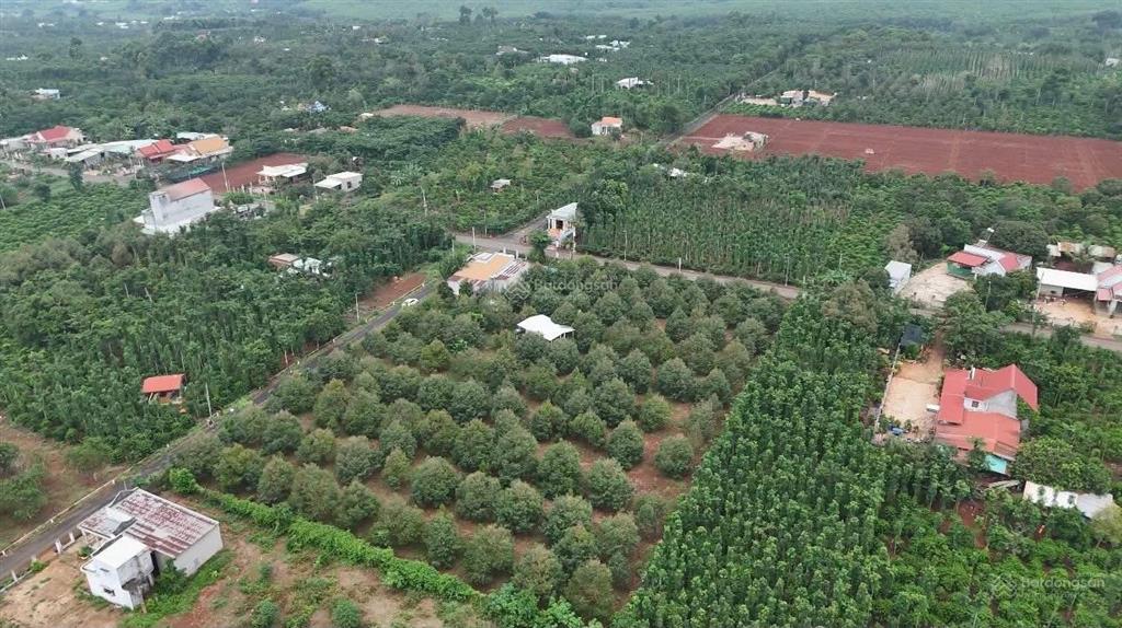 Bán mảnh đất vườn sầu riêng nằm trên tuyến đường chính liên xã kim long, quảng thành