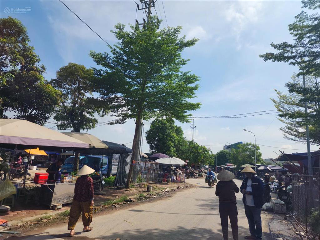 Bán đất làn 2 quốc lộ 1a, xuân ổ b, võ cường, bắc ninh