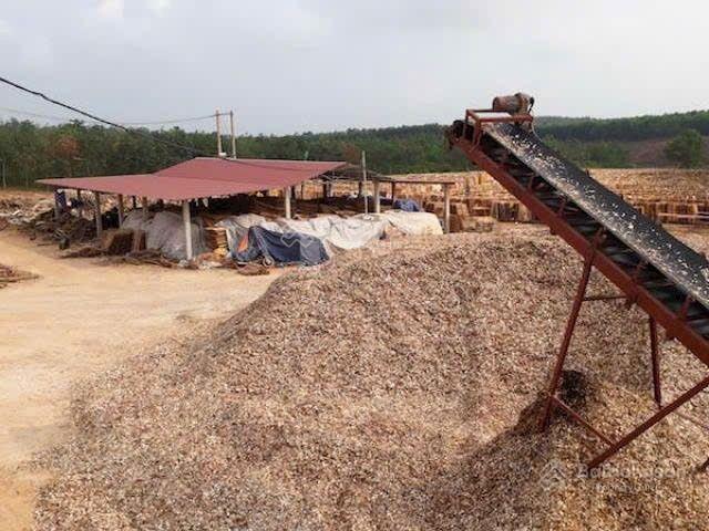 Cần bán 40.000m2 đất sxkd đó có sẵn nhà xưởng sản xuất gỗ, ván ép, và viên nén năng lượng đà nẵng