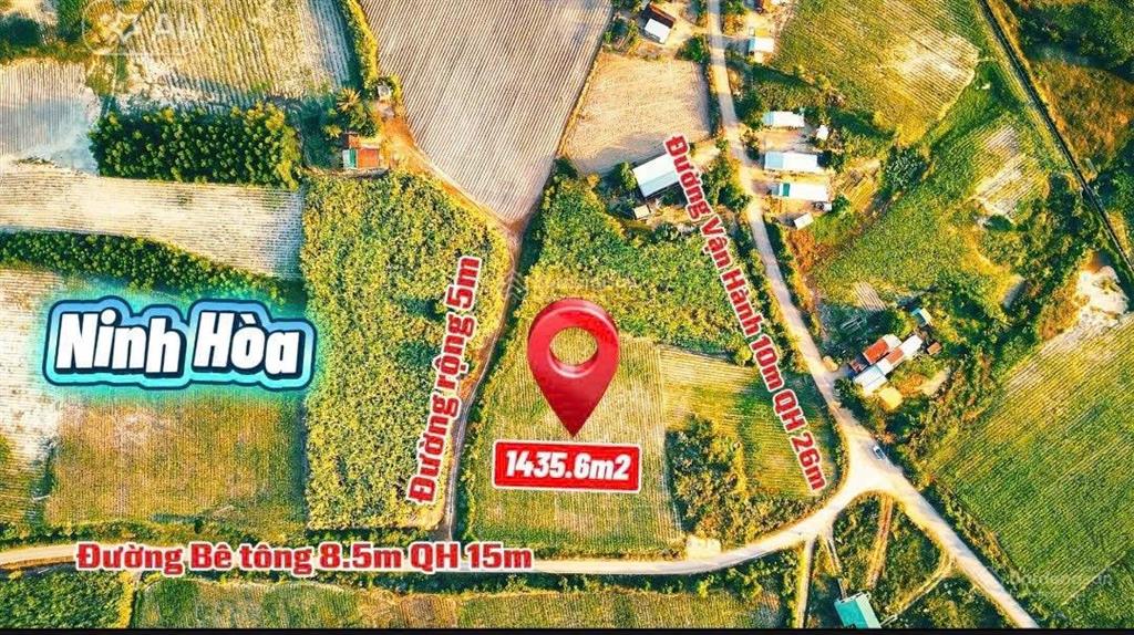 Lô full thổ cư tại ninh hòa chỉ 259 triệu. diện tích 125m2 ngang 5m. đường bê tông 56m.