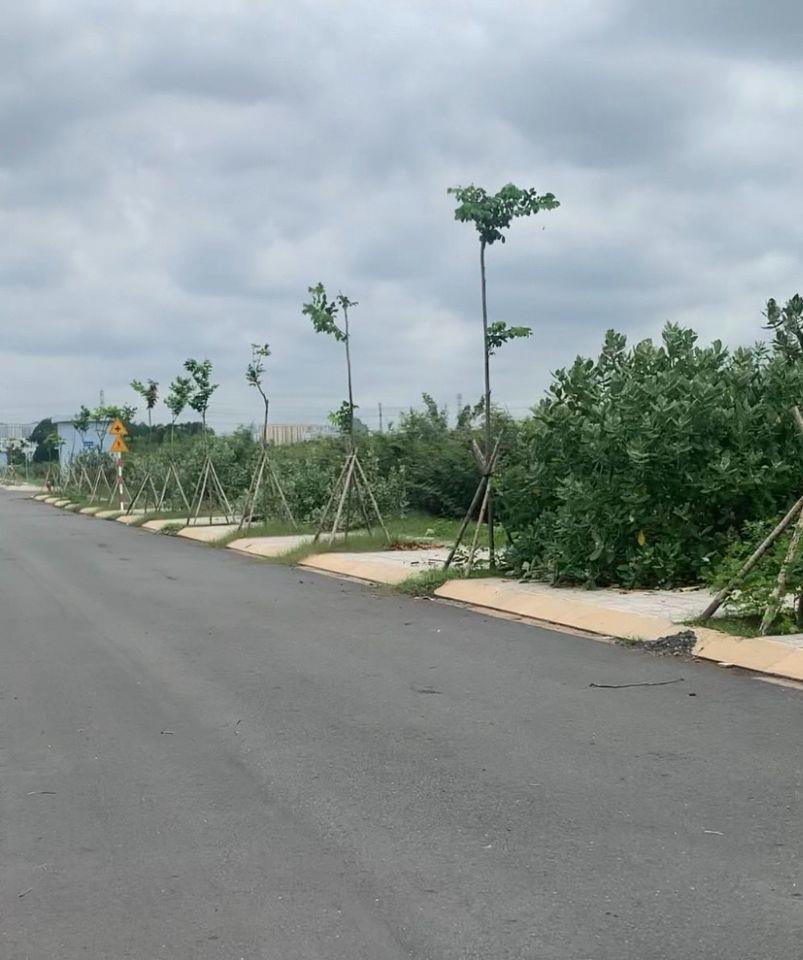 BÁN ĐẤT ĐH QUỐC GIA 245 – ĐA DẠNG DIỆN TÍCH – GIÁ ĐẦU TƯ