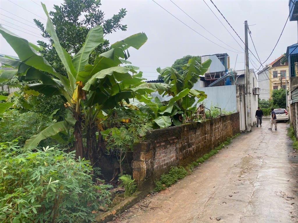 Bán 90m2 đất ngõ 90 mỹ trung sơn tây. mt 5m. sẵn sổ. 1,3 tỷ. 0974 687 ***