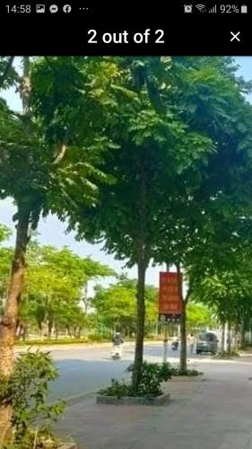 Cần Bán Nhà Măt Đương Cổ Linh, Thạch Bàn, DT 119m2. MT rộng 6m.
