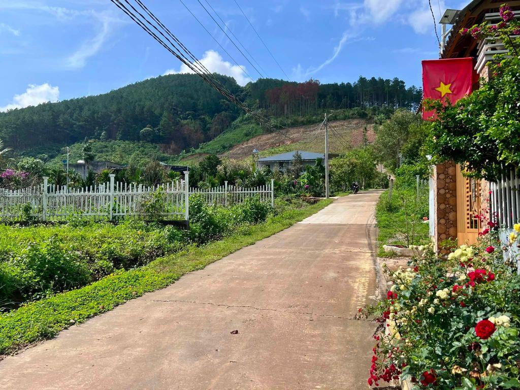 Cần Bán Đất Khu Nghỉ Dưỡng Gia Lâm 501m², Địa Thế Đẹp, Thông Xanh Bao Quanh