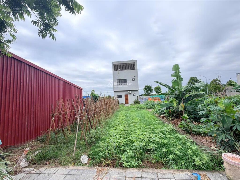 Chính chủ bán đất thổ cư khu đấu giá x7 lỗ khê giá rẻ hiếm có khu vực