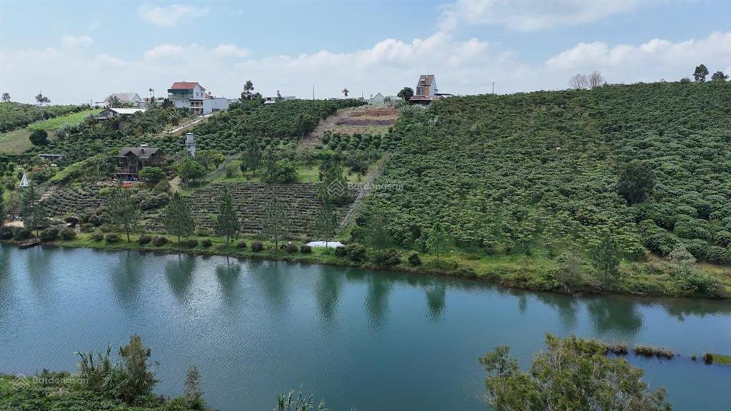 Bán đất view hồ bảo lộc 2.268m², mặt tiền hồ 44m, đường ô tô 6m, giá 3,3 tỷ