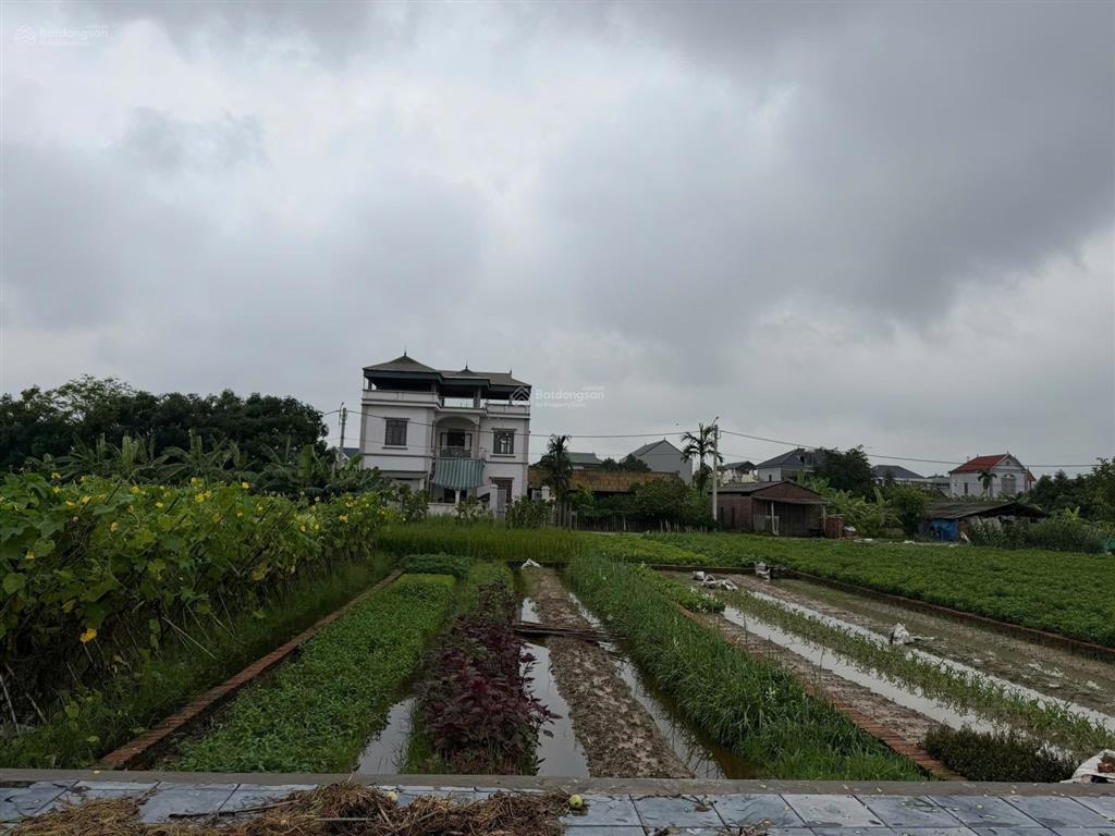 Cần bán nhanh 120m² giãn dân đình trung