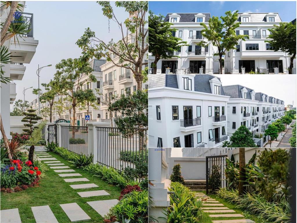 Suất ngoại giao giá tốt hơn đợt đầu mở bán, biệt thự solasta song lập chỉ với 26 tỷ