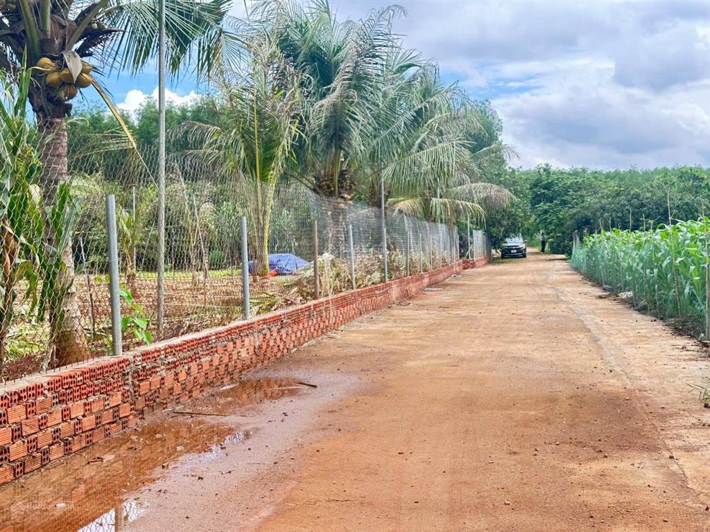 Chốt lời gấp lô đất vàng 560m2 trực diện cổng b sân bay quốc tế long thành. 0868 392 ***