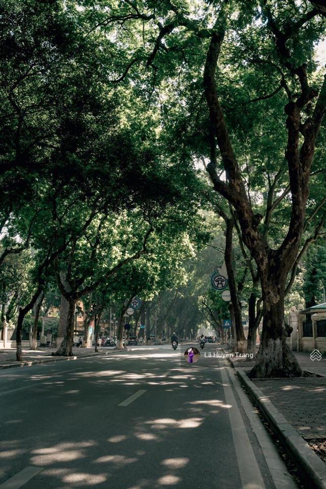 Phân lô lõi ba đình tt hoàng hoa thám 80m2 vỉa hè ô tô tránh chủ giảm 6,4 tỷ còn 28,6 tỷ