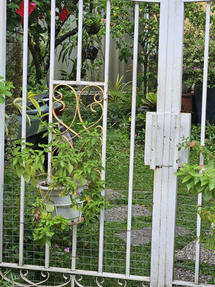 Bán đất ngay trung tâm bảo lộc 60 phan chu trinh bên hông nhà thờ tân hà, tiện xây villa homestay