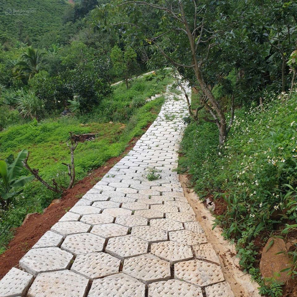 Bán 4.000m2 có 10m mt đờng nhựa nguyễn trãi, p1, bảo lộc view siêu đẹp làm nhà vườn, homestay, cf