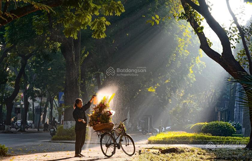 Nhà mp gần ngã tư phan đình phùng và bốt hàng đậu 97m , kd đỉnh vỉa hè rộng giá 65 tỷ, 0936 168 ***