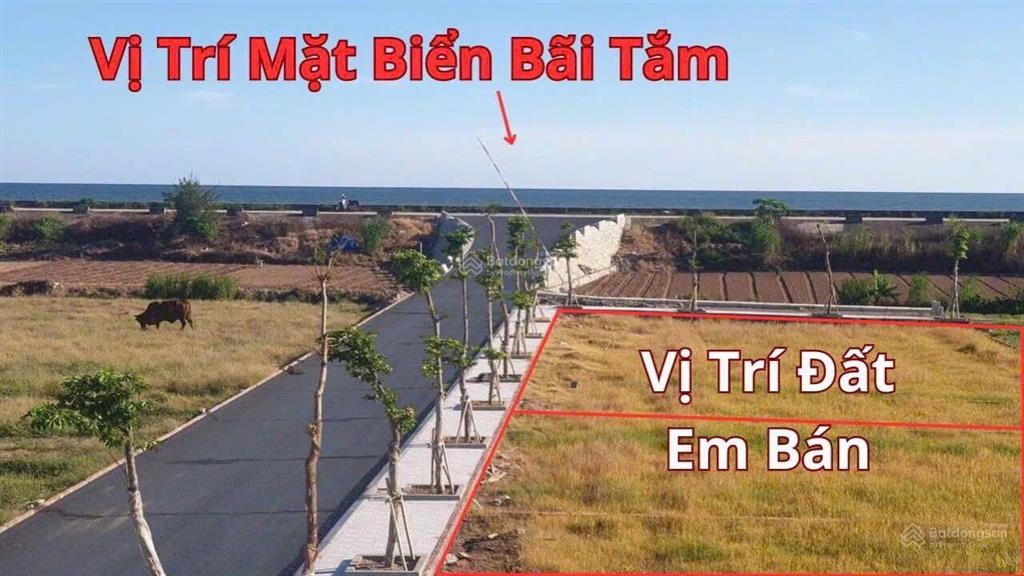 Lô góc đẹp mặt biển quất lâm nam định, sổ đỏ full 100% thổ cư, giá chuẩn và tốt