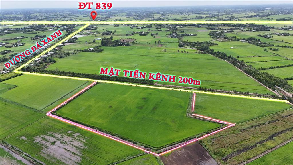 Hơn 3,5 mẫu đất lúa đường ô tô, trung tâm huyện đức huệ, cần bán gấp