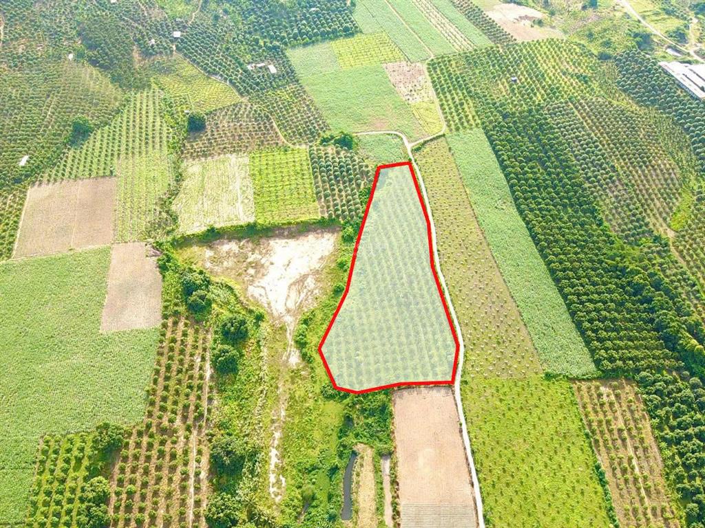 Chủ cần bán 8 sào tại xuân lập, cam hiệp, mặt tiền gần 200m, full thổ cư chỉ 2 triệu /m2