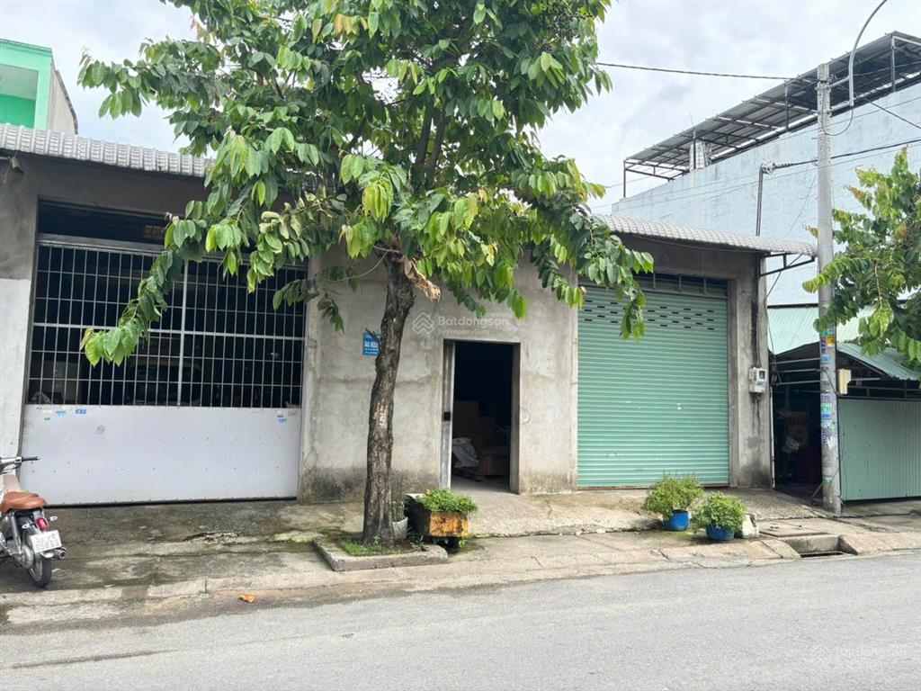 Bán gấp nhà xưởng dt 12x40, đường nhựa 12m, gần chợ đầu mối hóc môn