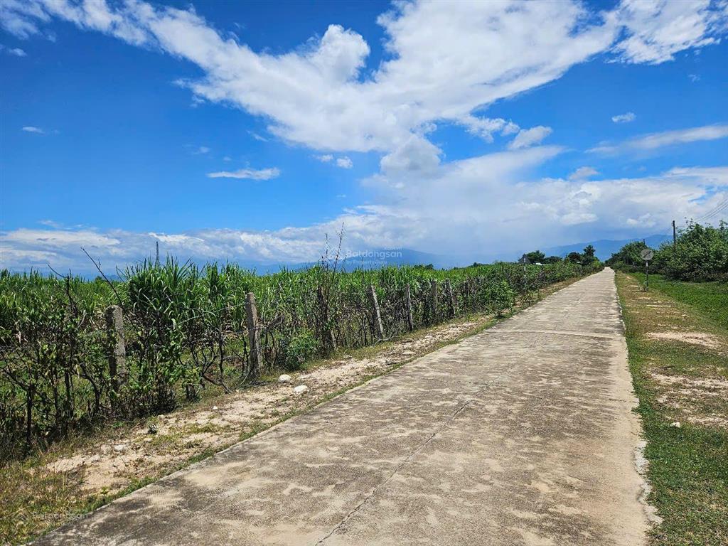Đất đẹp hơn 3ha có sẵn 500m² đất ở kế bên khu tđc phước thắng đường bê tông ôm đất hơn 200m