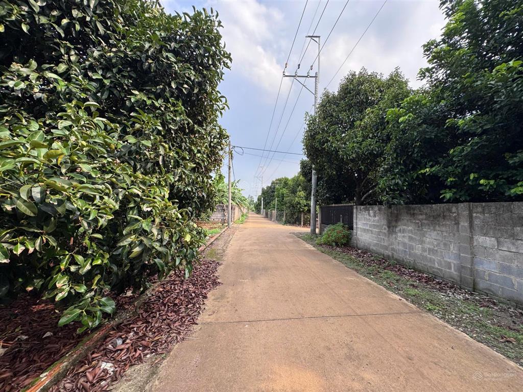 Kẹt tiền cần bán lô đất full thổ cư ngay trung tâm dầu giây chợ đầu mối đầy đủ tiện ích