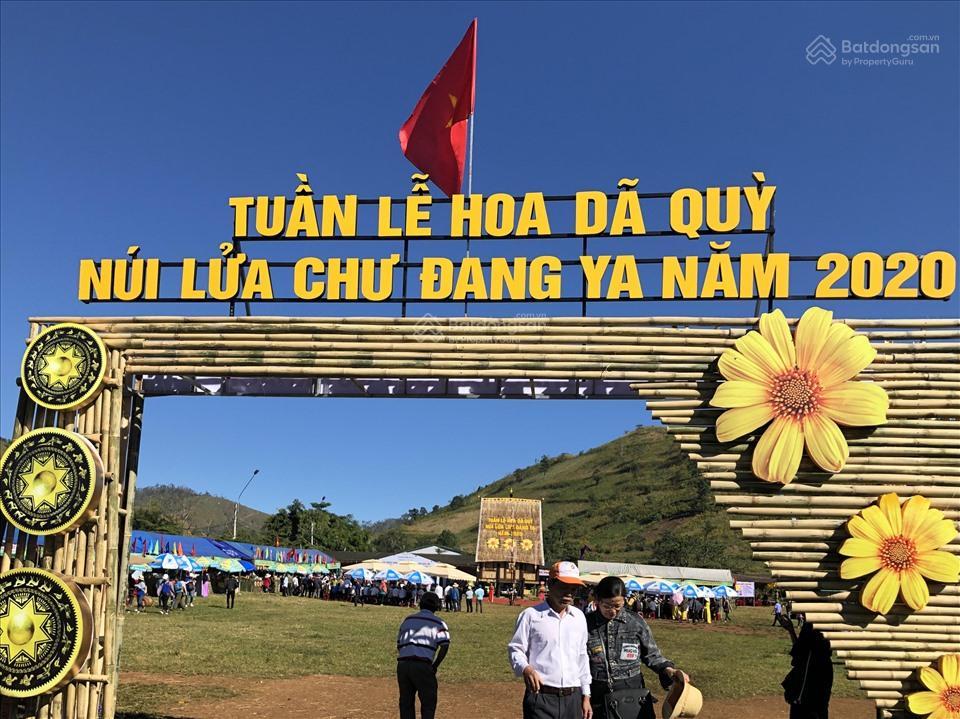 Bán lô đất tâm huyết khu lễ hội hoa dã quỳ núi lửa chư đăng ya