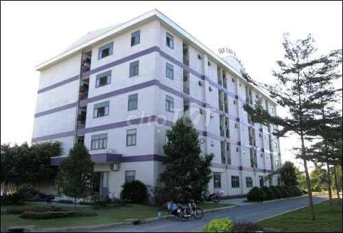 Cần bán cc Tân Tạo Plaza 3