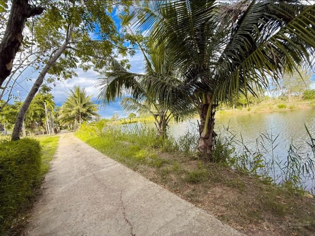 View sông gần hội an khu vực du khách tây rất thích
