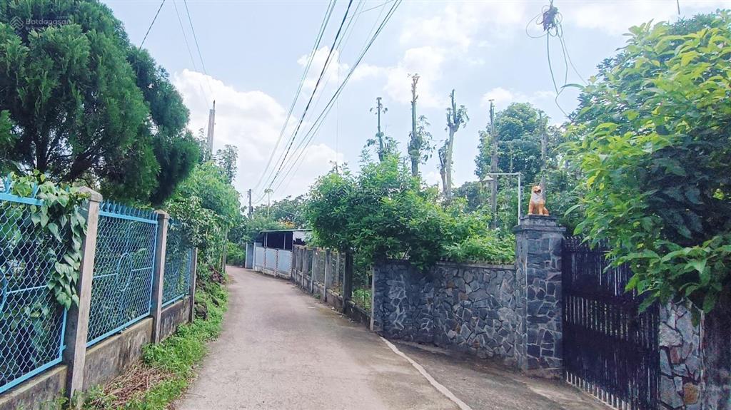 Bán 8,9 sào đất xã kim long tp. hồ chí minh mt 30 m đường bê tông, đang trồng cafe | giá 11,5 tỷ