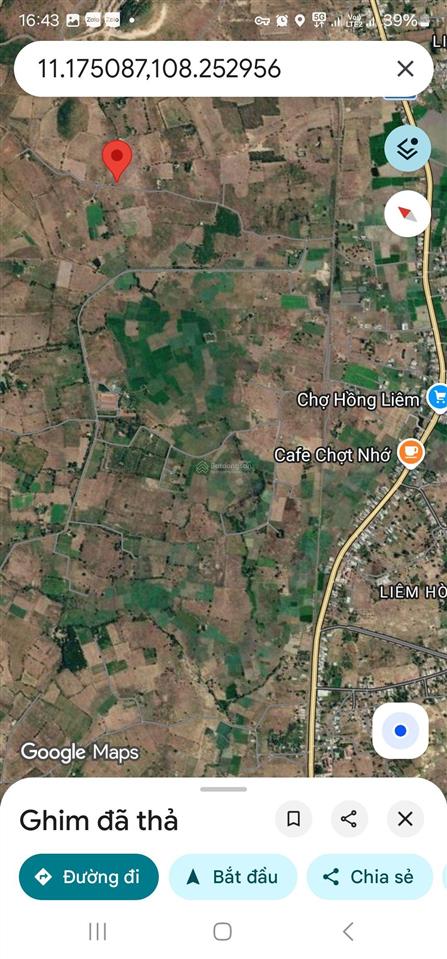 Bán đúng 55.000/m2 cho 2 hecta đất trồng cây, cách ql 1 chỉ 900m (chính chủ)