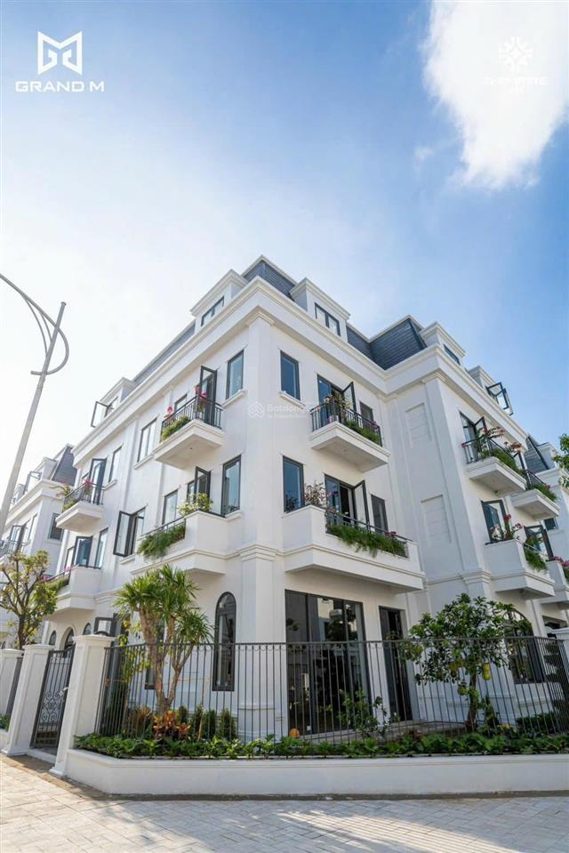 Biệt thự song lập 170m2 sẵn sổ, xây thô 3 tầng 1 tum hoàn thiện mặt ngoài + cảnh quan sân vườn
