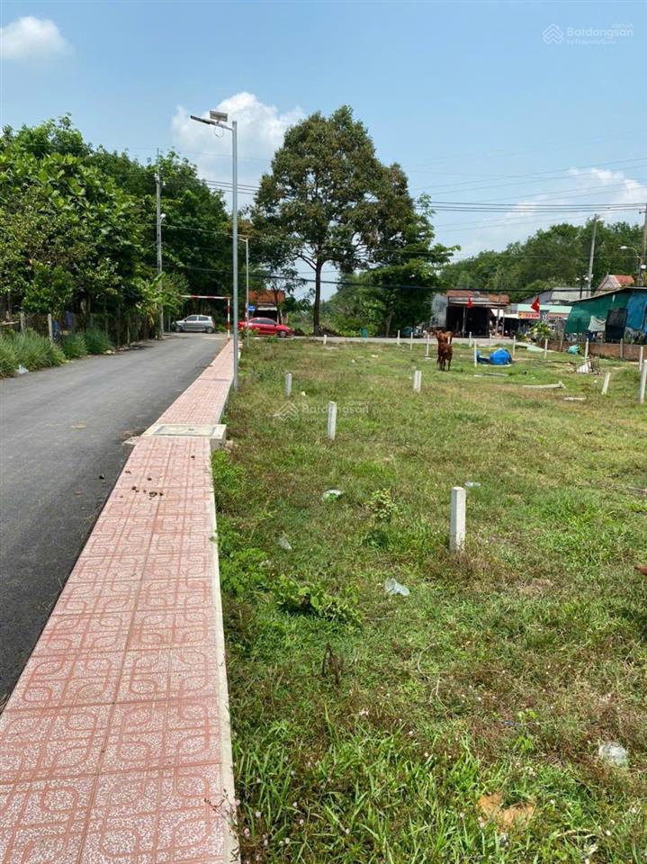 Bán đất đường nguyễn thị rành, gần địa đạo củ chi, gần vin củ chi diện tích 86m2 giá 2.1 tỷ