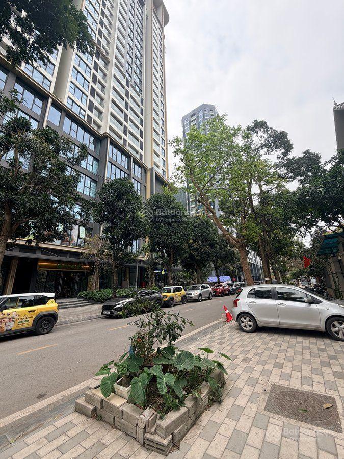 Biệt thự vườn đào vip tây hồ 210m², mt 14m đối diện siêu cc capital lan heritage, kinh doanh đỉnh