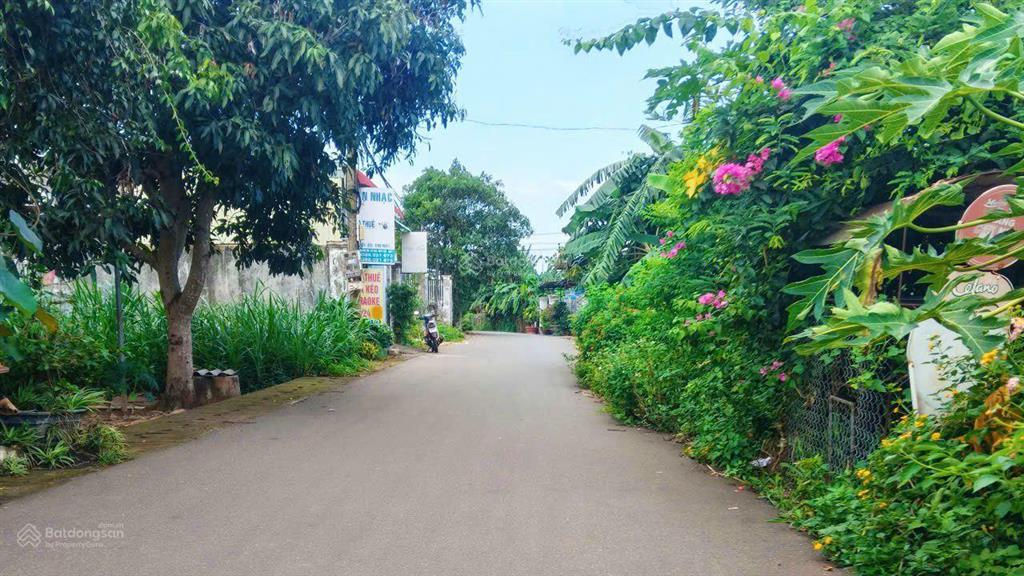 Cách ql 56 chỉ 80m, 3089m2 (200m2 tc) thể xây trọ, nhà nghỉ, kho bãi tại xã nghĩa thành, giá 5,5 tỷ