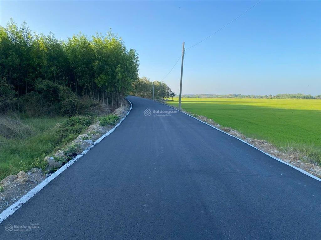 Bán đất ruộng ở láng dài, mặt tiền đường long tân láng dài