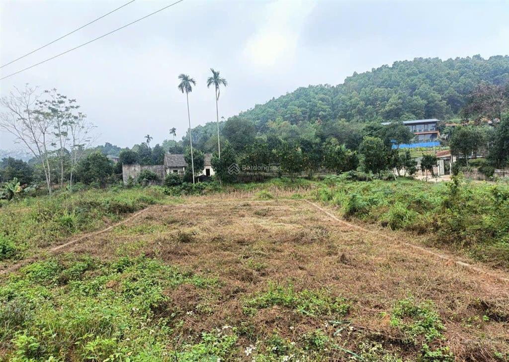 Chủ cần tiền bán gấp 150m2 full thổ cư giá chưa đến 3 tỷ