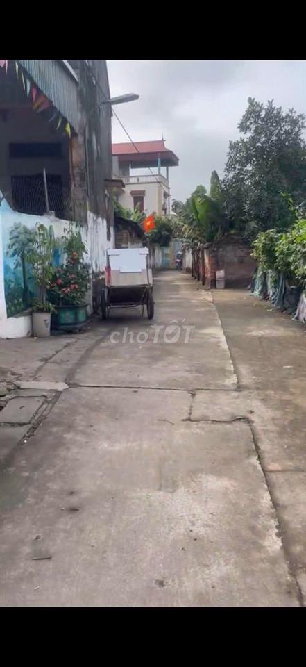 Đất thổ cư Đan Phượng, Sổ chính chủ