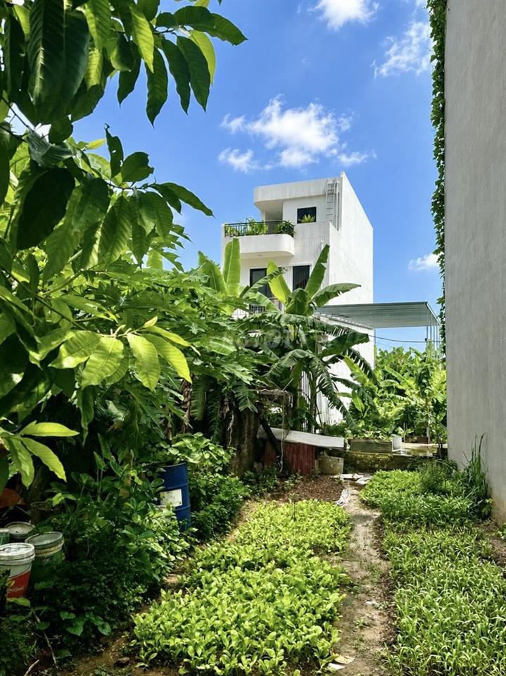 ĐẤT HƯỚNG NAM – NGỌC ĐỘNG, BÁT TRÀNG (GIA LÂM CŨ) 🏡