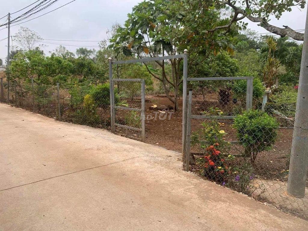 đất vườn có thổ cư cần bán gâpp
