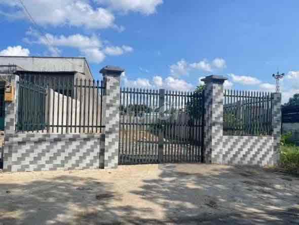 Chủ Ngột Bán Giá Rẻ