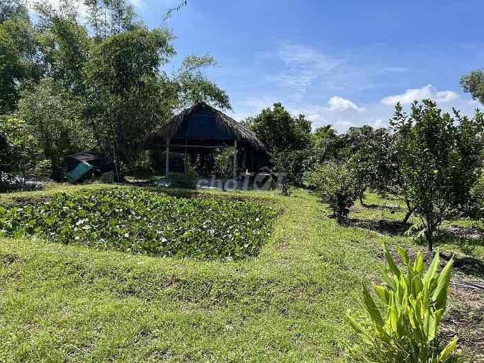 Về quê nên cần bán gấp miếng đất
