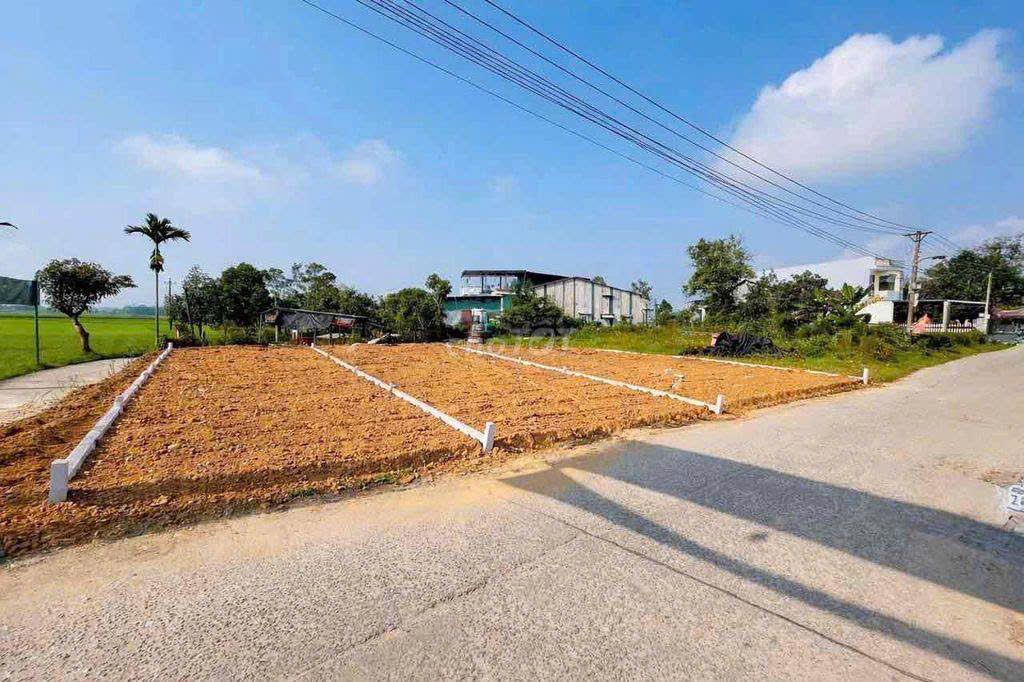 Sụp hầm – hạ giá bán nhanh 3 lô đất tại Đại Hiệp